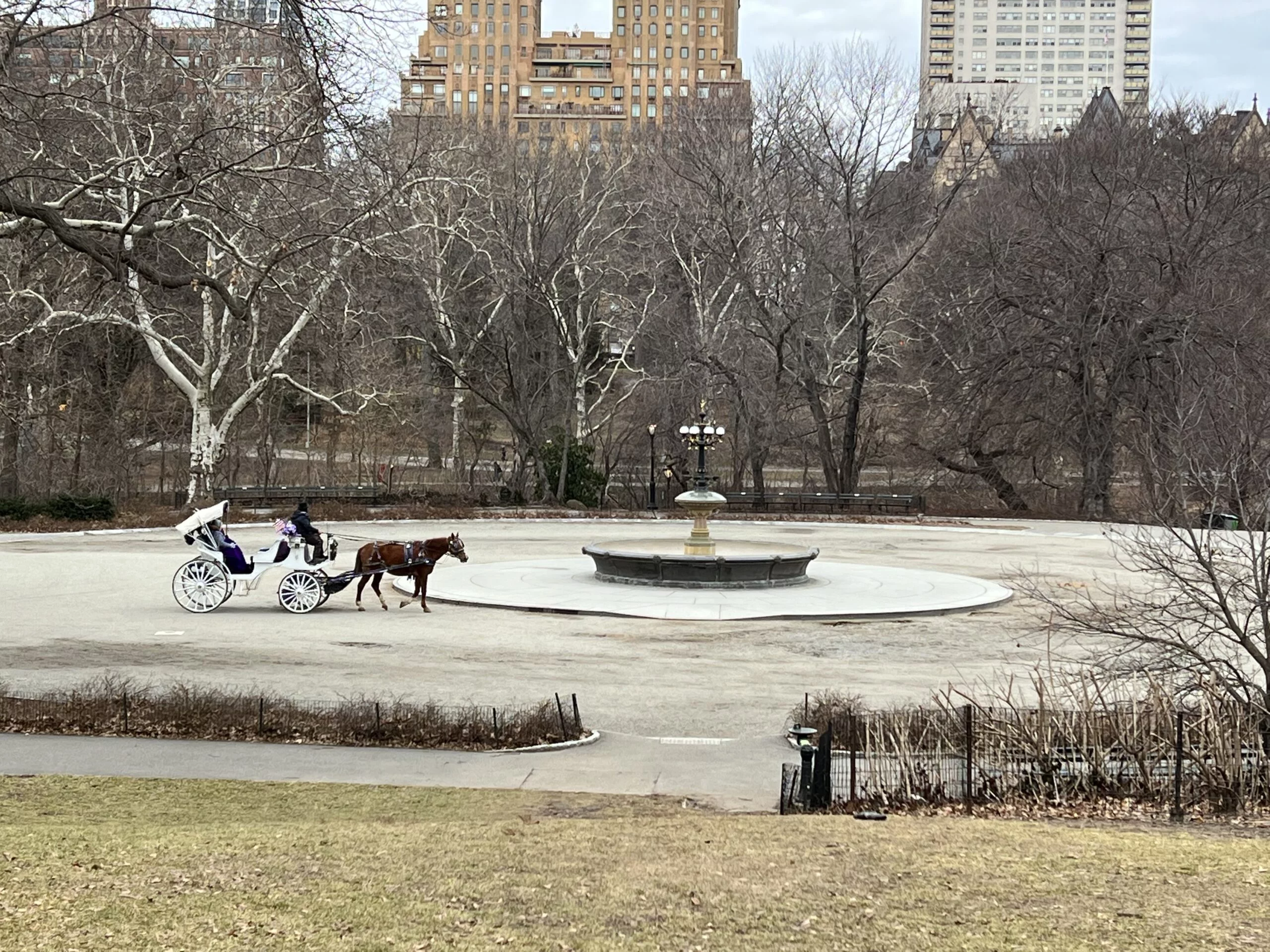 New York for First-Time Solo Travelers: What to See Without the Stress