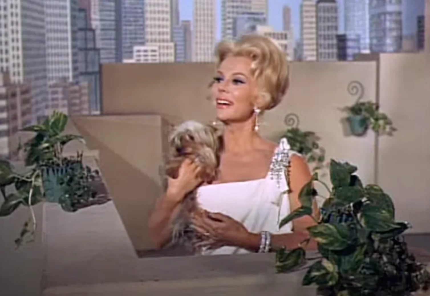 Where to Stay in NYC: Personally Tested Hotels for Solo Women Travelers