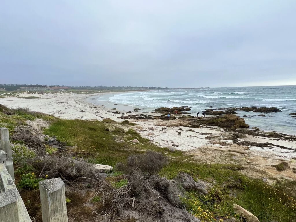 Is Pacific Grove worth a visit? 12 Asilomar