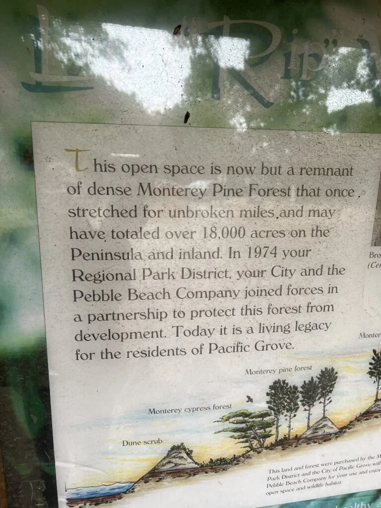 Is Pacific Grove worth a visit? 6 Dog park