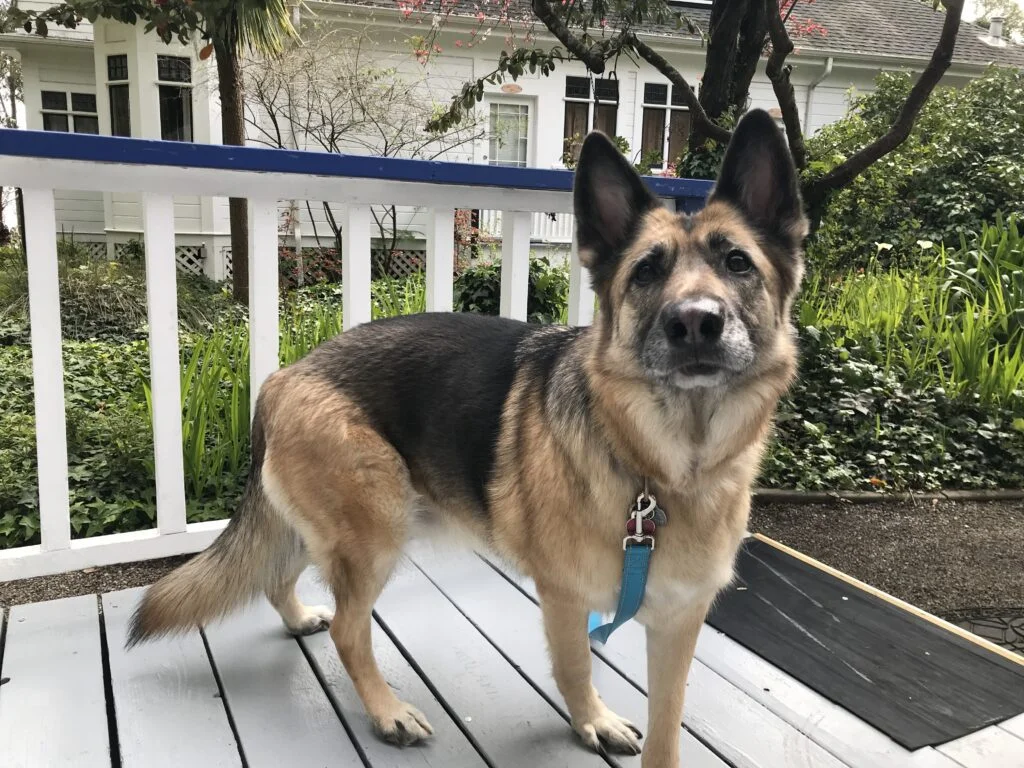 Capitola - Where should you stay? 26 IMG 3113