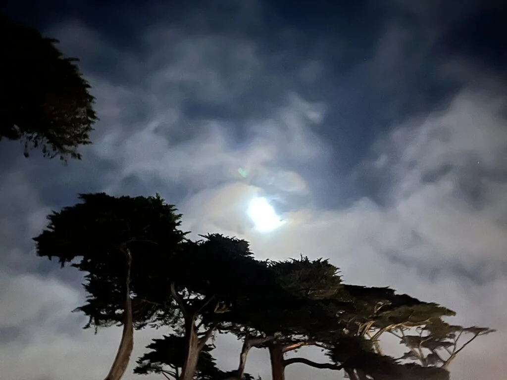 Is Pacific Grove worth a visit? 4 IMG 8513