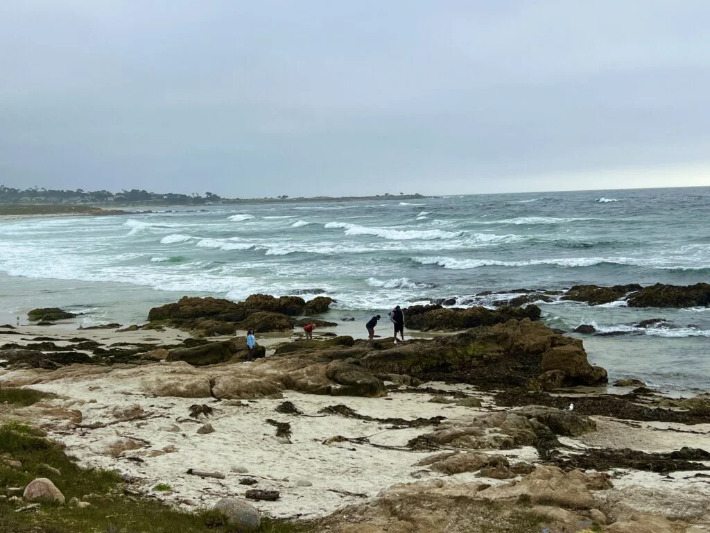 Is Pacific Grove worth a visit? 10 tidepool