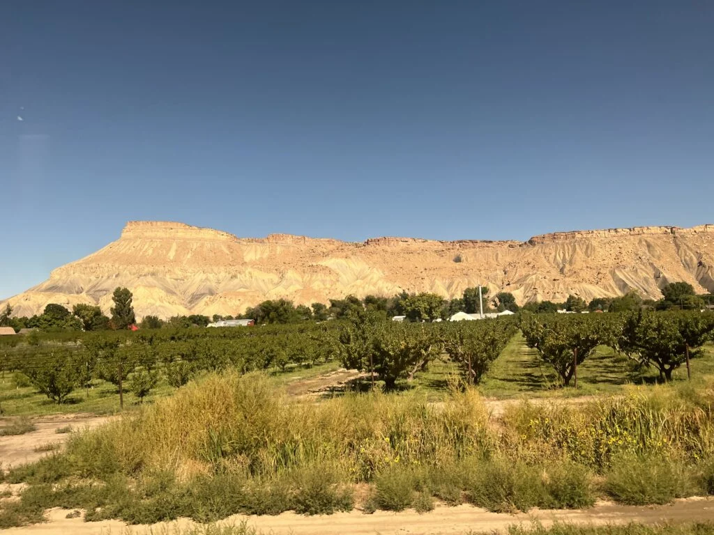 Amtrak California Zephyr Review – Highlights & Lowlights + Sleeper Car Tips 13 IMG 8763