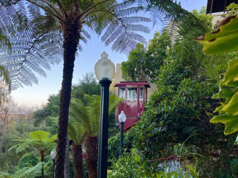 My Favorite Spots to Eat in Capitola: Best Restaurants by a Local 47 Shadowbrook Cable Car