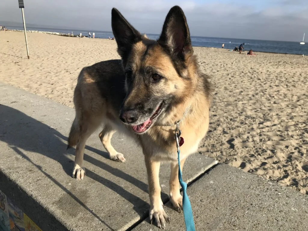 What to see in Capitola Village By The Sea 7 JourneyBeach