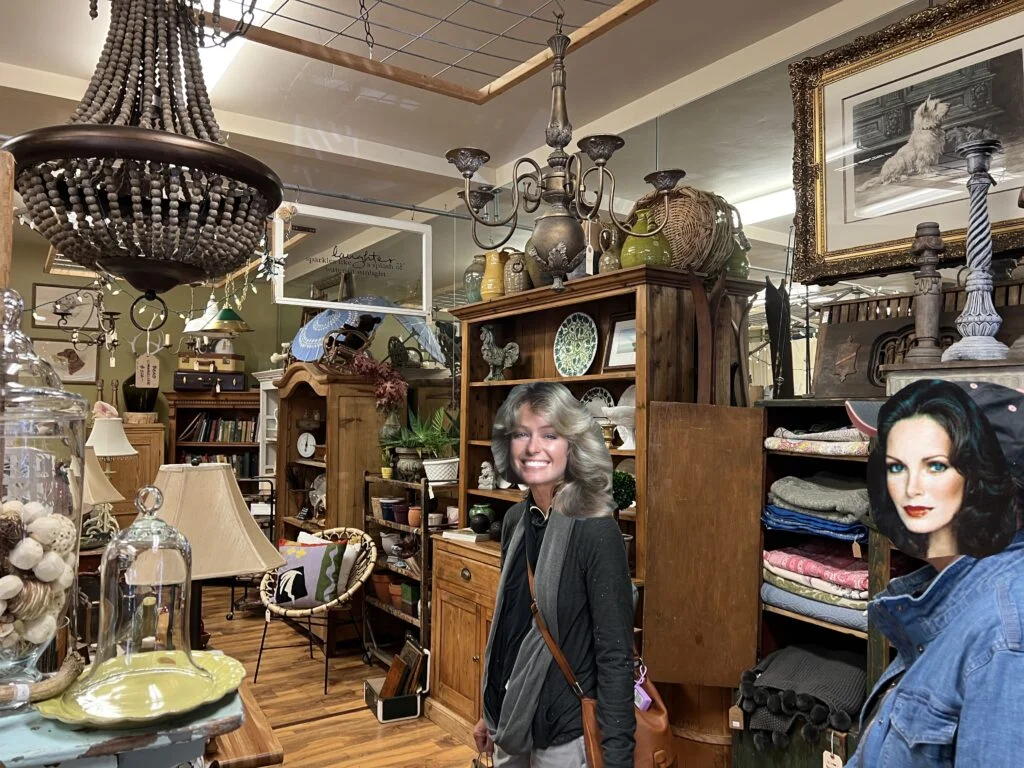 Is Arnold California worth visiting? 29 Antique store