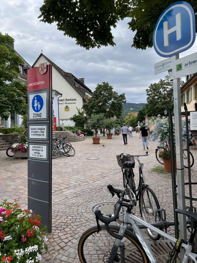 Kirchzarten Town Center: A picturesque view of Kirchzarten's town center, featuring traditional German architecture and a central square adorned with a maypole.