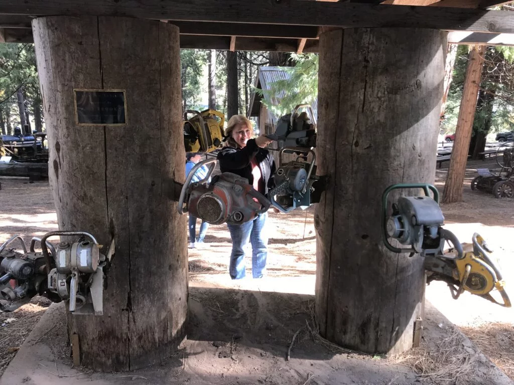 Is Arnold California worth visiting? 9 Chain saw exhibit