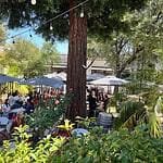 Unique and Cool Places to Eat in San Jose and Silicon Valley Gardenia Restaurant Los Gatos Patio