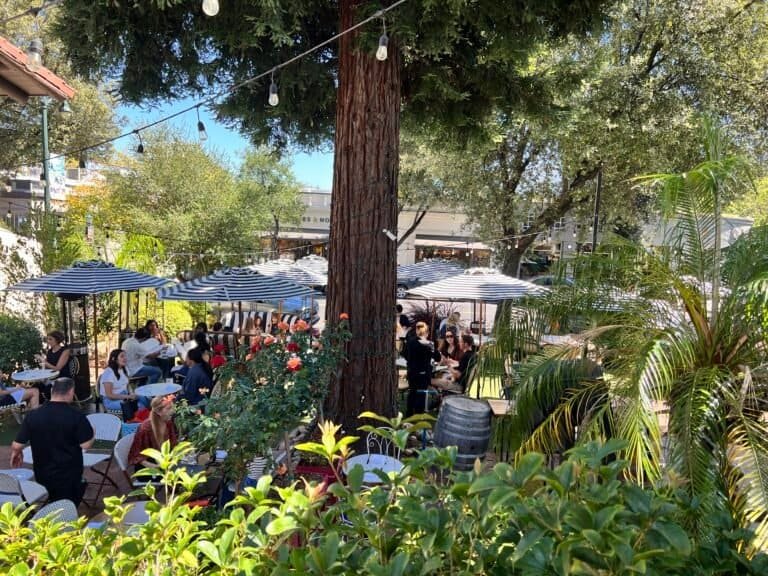 Unique and Cool Places to Eat in San Jose and Silicon Valley 7 Gardenia Restaurant Los Gatos Patio