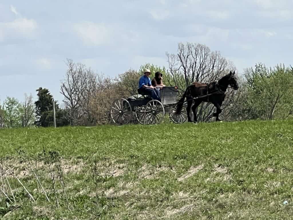 Things to Do in Marshfield, Missouri: A Personal Journey Back to My Roots 8 A horse drawn carriage in Marshfield Missouri