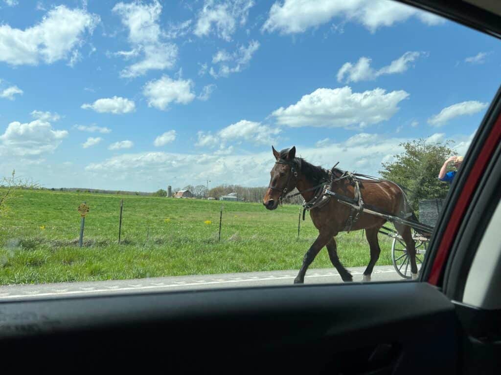 Things to Do in Marshfield, Missouri: A Personal Journey Back to My Roots 7 A horse drawn carriage in Marshfield Missouri