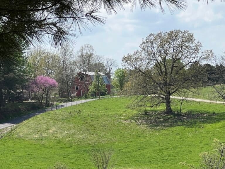Things to Do in Marshfield, Missouri: A Personal Journey Back to My Roots 1 Red Barn in a lovely field Marshfield Missouri