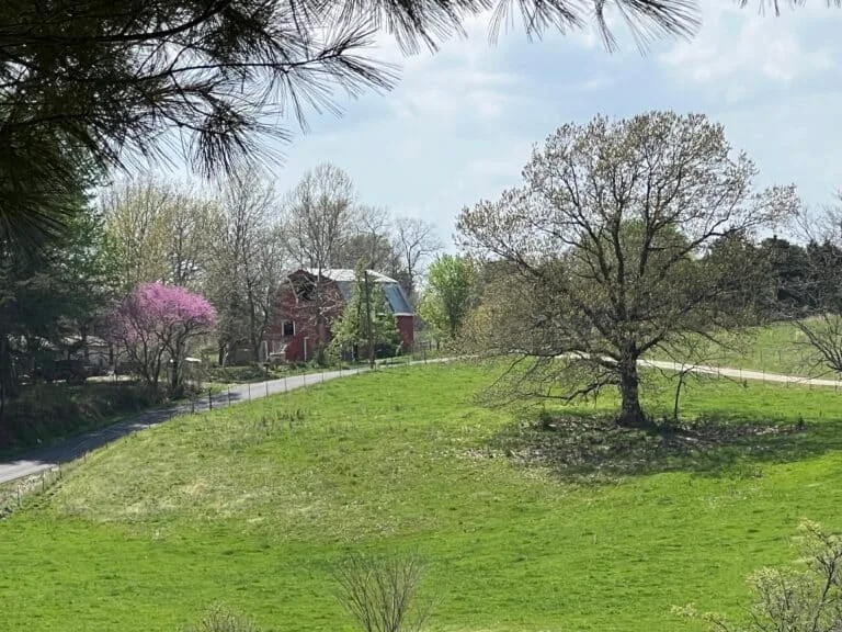 Things to Do in Marshfield, Missouri: A Personal Journey Back to My Roots 1 Red Barn in a lovely field Marshfield Missouri