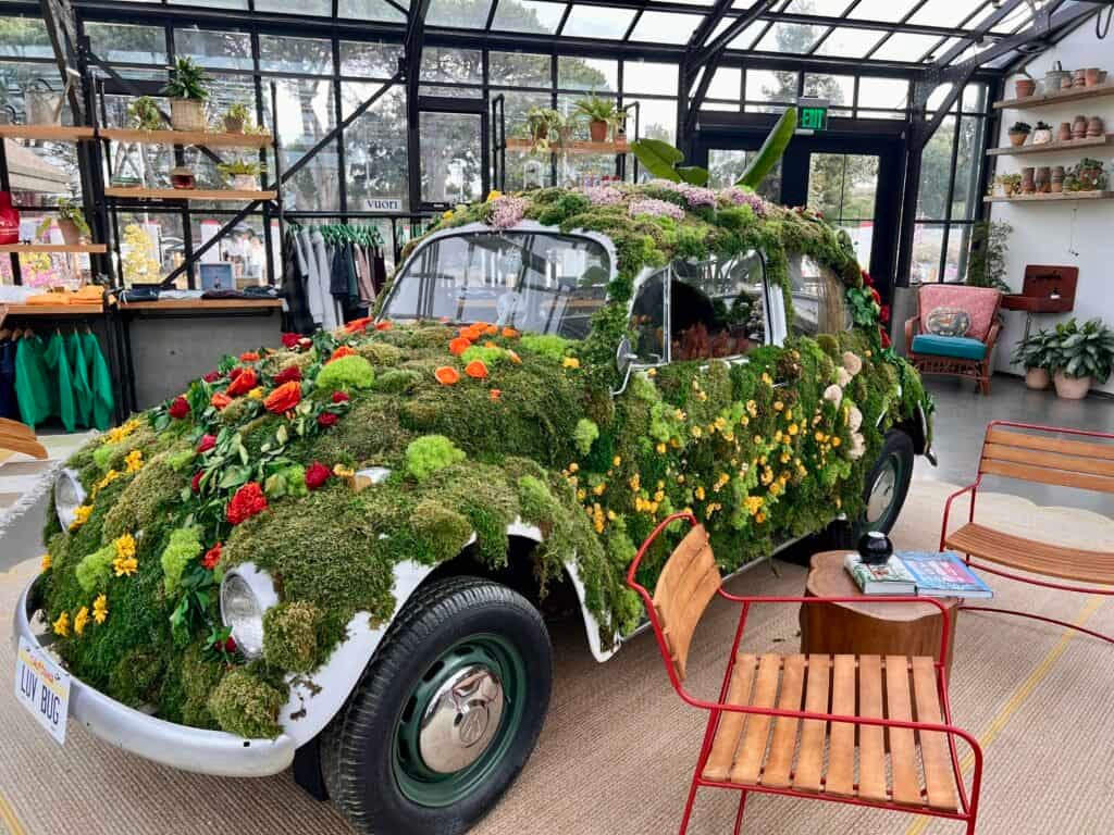 Things to Do in Silicon Valley: Where to Go, Eat & Stay 5 The Treehouse Silicon Valley lobby plant covered Volkswagon Bug
