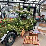 The Treehouse Silicon Valley lobby plant covered Volkswagon Bug