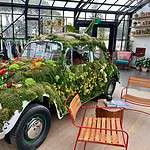 I Stayed at the Treehouse Hotel Silicon Valley. Here's the Truth. The Treehouse Silicon Valley lobby plant covered Volkswagon Bug