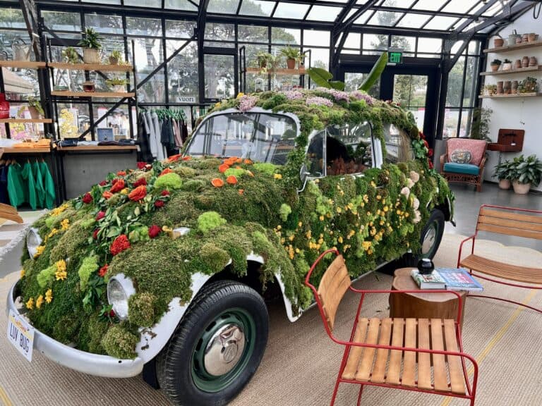 The Treehouse Silicon Valley lobby plant covered Volkswagon Bug