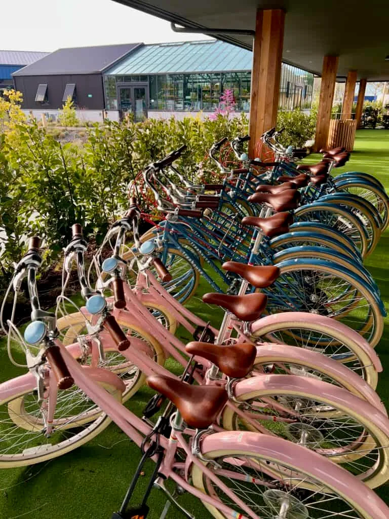 I Stayed at the Treehouse Hotel Silicon Valley. Here's the Truth. 22 Bikes at the Treehouse Silicon Valley