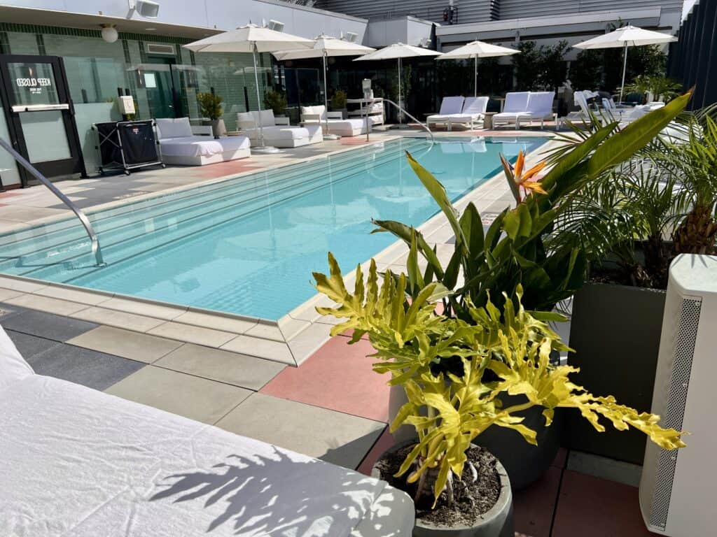 Sun Rose Hotel West Hollywood rooftop pool