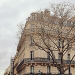 I Sat Next to a Stranger on a Flight. Now I Might Move to Paris. Elegant street view in Paris, capturing a classic corner cafe and architecture.