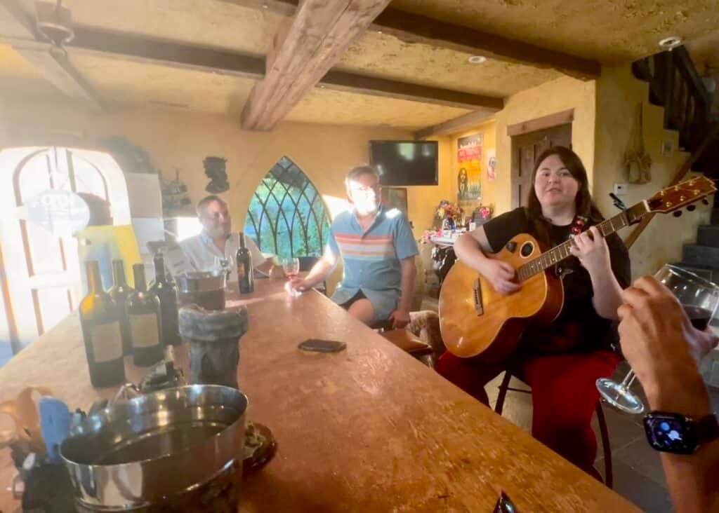 Castillos Hillside Winery