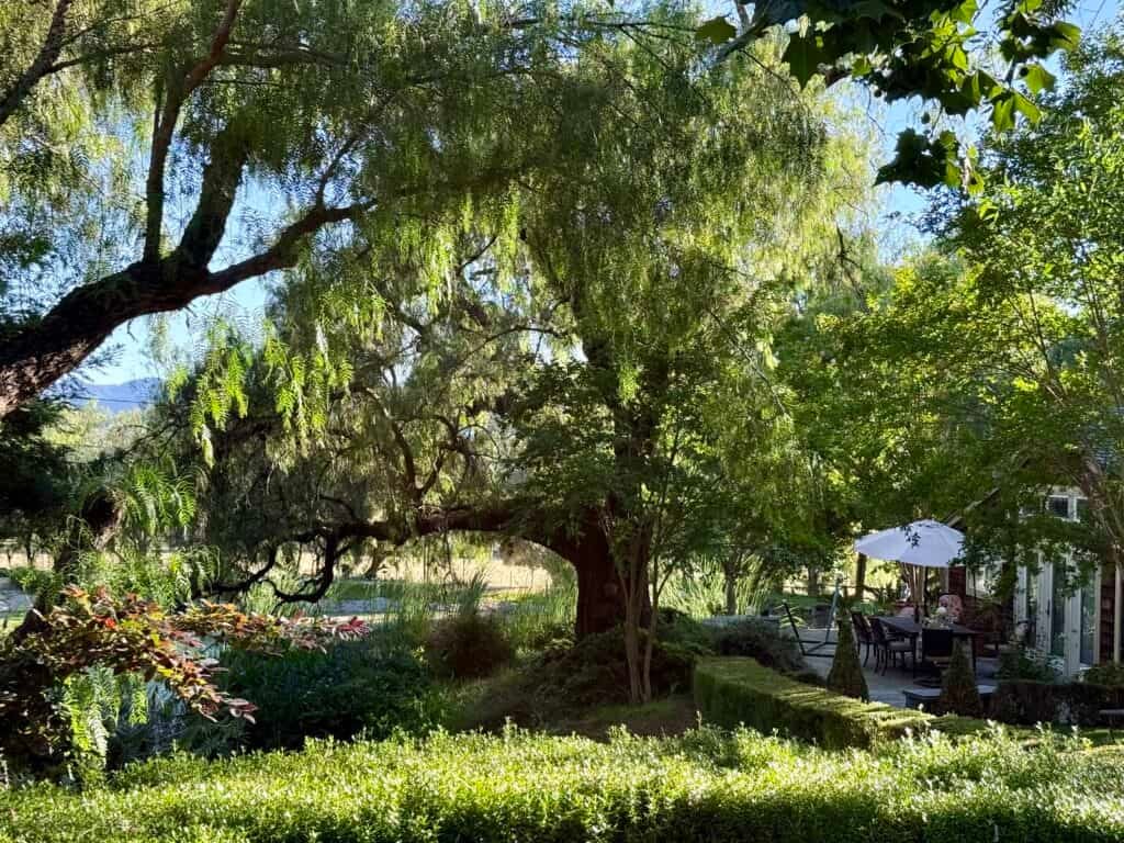 Castillos Hillside Winery grounds