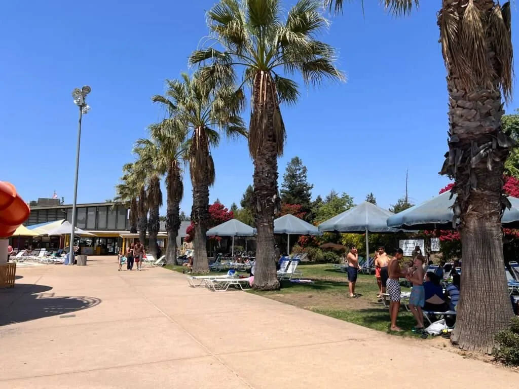 Shaded lawn seating under large umbrellas at the Morgan Hill Aquatics Center