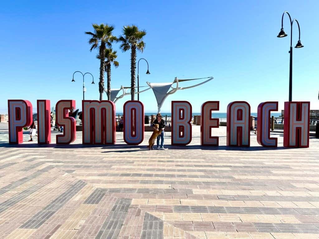Pacific Point Resort Pismo Beach Review: What It’s Really Like to Stay (With My Dog) 12 Pismo Beach shoreline stretching toward the pier in the distance