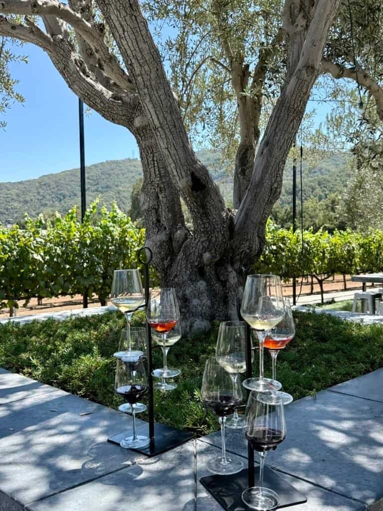 MOHI Ranch wine flight
