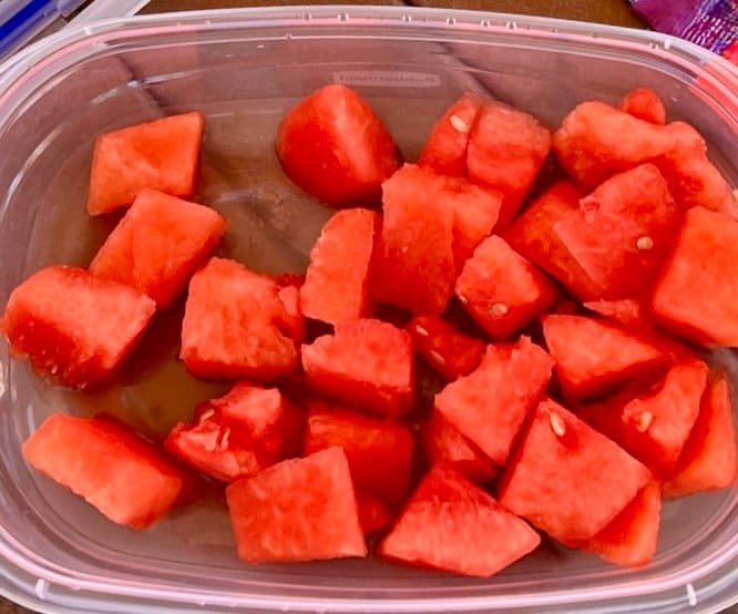 Watermelon chunks in a plastic storage container