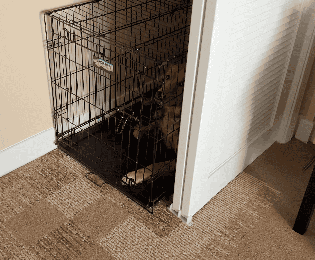 Pacific Point Resort Pismo Beach Review: What It’s Really Like to Stay (With My Dog) 9 A golden retriever resting in her travel crate, which has been tucked inside the open hotel room closet to save floor space