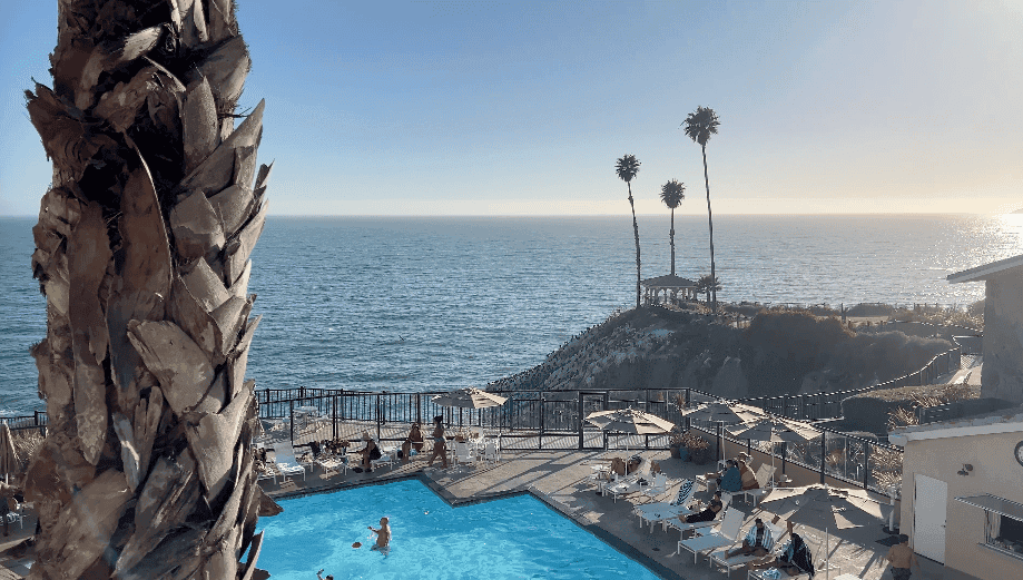 Pacific Point Resort Pismo Beach Review: What It’s Really Like to Stay (With My Dog) 4 The view from a fourth-floor Ocean View King room at Pacific Point Resort, looking over the swimming pool to the Pacific Ocean, framed by palm trees