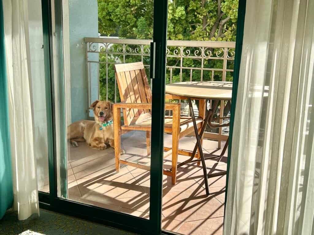 Crowne Plaza Palo Alto Review: The Beatles, a Balcony, and a Dog Who Ruined My Pool Plans 12 Private balcony overlooking the courtyard at Crowne Plaza Palo Alto
