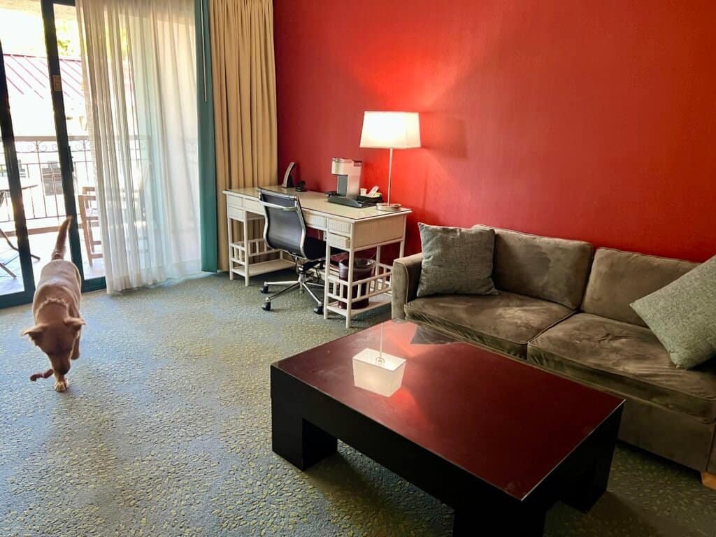 Crowne Plaza Palo Alto Review: The Beatles, a Balcony, and a Dog Who Ruined My Pool Plans 11 Guest accommodations in the Crowne Plaza Palo Alto junior suite