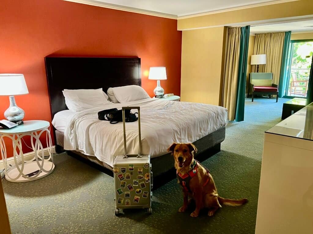 Crowne Plaza Palo Alto Review: The Beatles, a Balcony, and a Dog Who Ruined My Pool Plans 9 Furnishings in our Crowne Plaza Palo Alto junior suite
