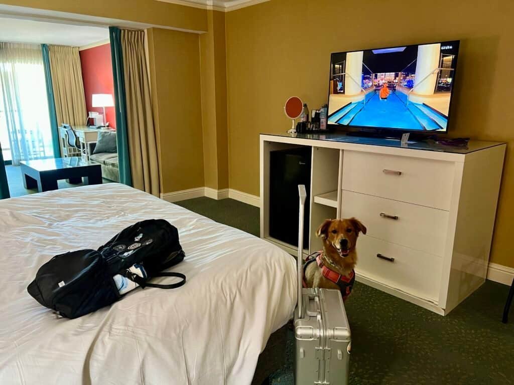 Crowne Plaza Palo Alto Review: The Beatles, a Balcony, and a Dog Who Ruined My Pool Plans 10 Another view of the junior suite at Crowne Plaza Palo Alto