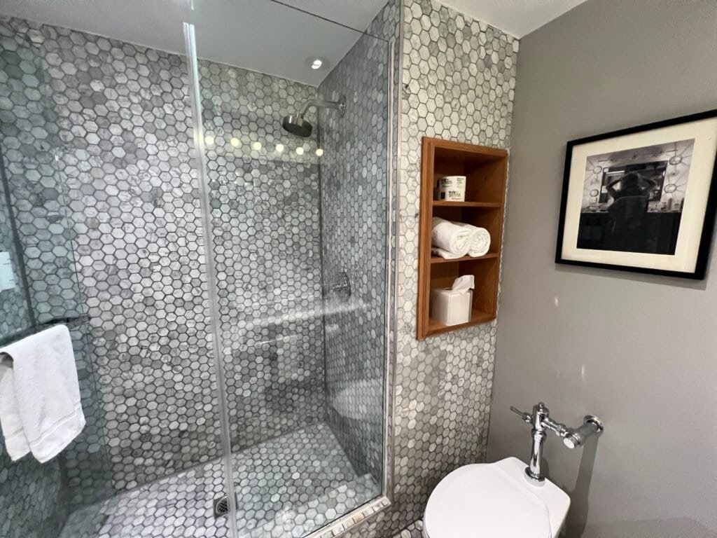 Hollywood Roosevelt Hotel Review: Old Hollywood Glamour, Poolside Luxury, and $8 M&M's 7 Hollywood Roosevelt Cabana Poolside room bathroom shower