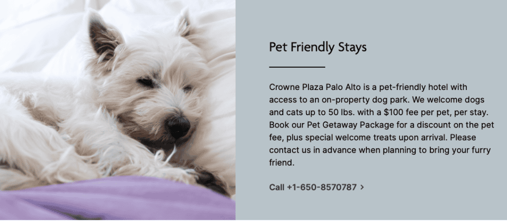 Crowne Plaza Palo Alto Review: The Beatles, a Balcony, and a Dog Who Ruined My Pool Plans 5 Crowne Plaza Palo Alto pet getaway package information on the IHG website